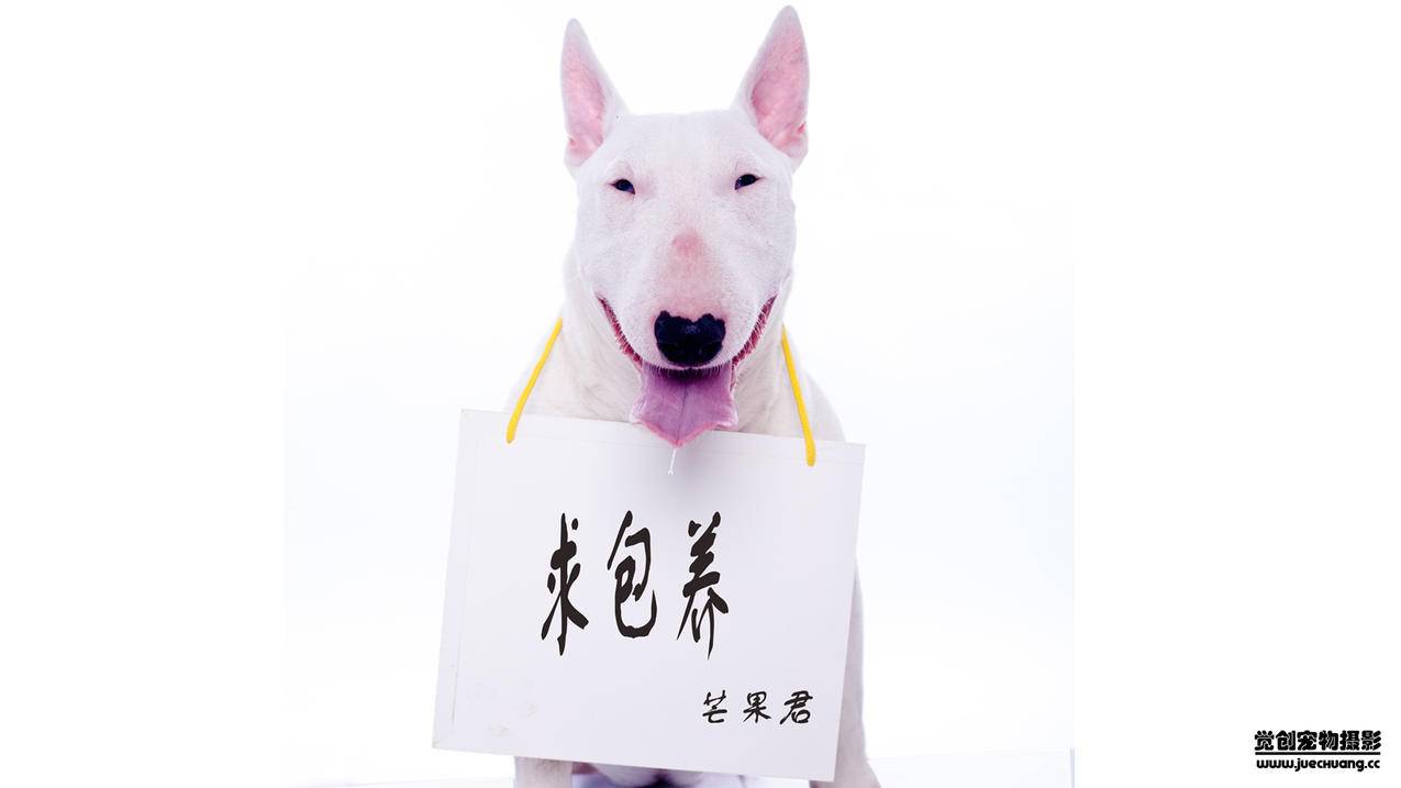 KS业务下单平台秒到账-抖音业务24小时在线下单免费-ks业务低价自助下单转发